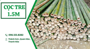 Cọc tre 1.5m giá rẻ