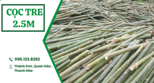 Cọc tre 2.5 mét
