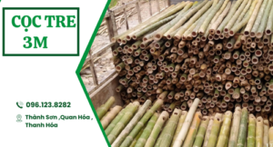 Cọc tre 3m giá rẻ