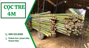Cọc tre 4m công trình