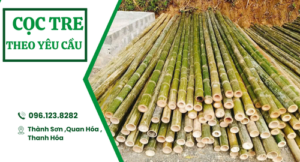 Cọc Tre